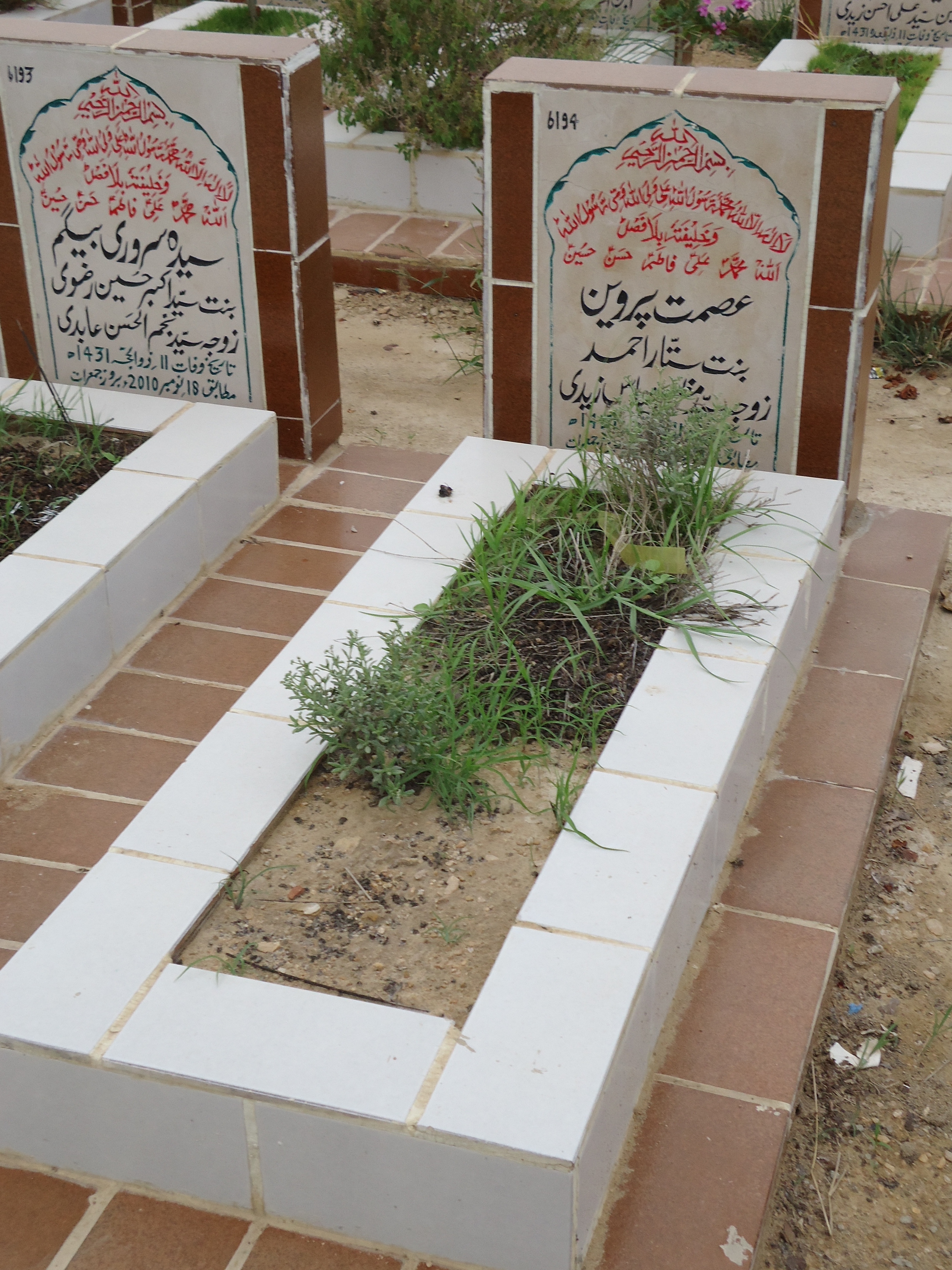 6194 – Asmat Parveen